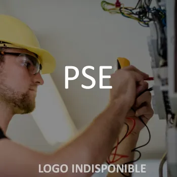 PSE logo electricien monts du lyonnais