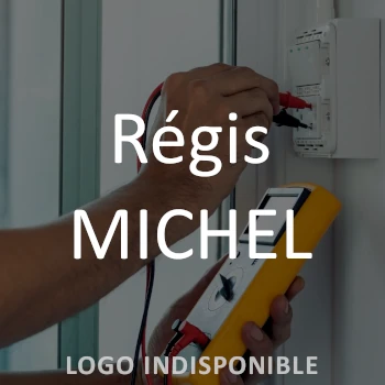 Régis MICHEL électricien