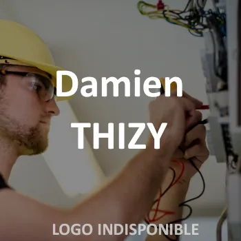 Damien Thizy électricien marcenod logo electricien monts du lyonnais