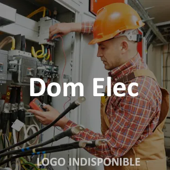 dom elec logo electricien monts du lyonnais